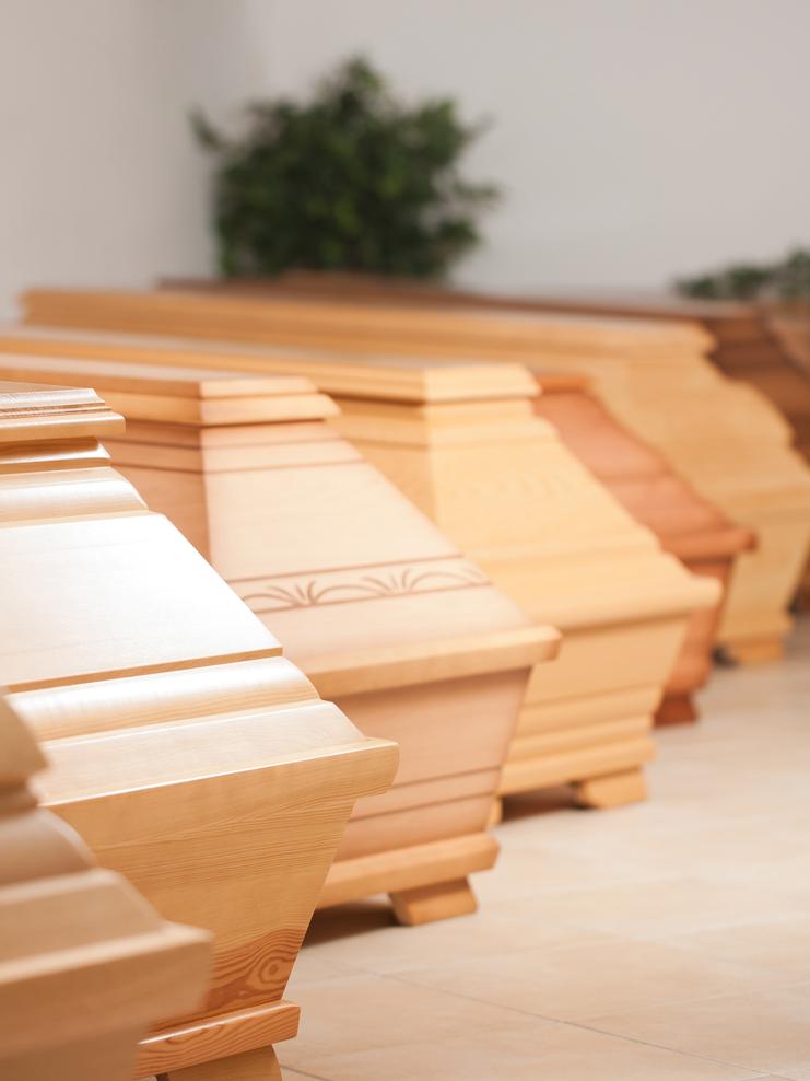 Reihe aus Holzsärgen in verschiedenen Farben steht in einem hellen Raum mit grüner Pflanze im Hintergrund.